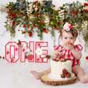 Wood one 1st Strawberry Birthday Sign,Froral Daisy Birthday Decorations Photo Props,Berry Themed Standing Daisy Decor