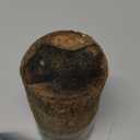 Brazilian Lucky Wood Plant,Fortune Brazil Wood Potted Plant with Squirrel,Mini Brazil Decoration, Mini Brazil Woods Indoor/Outdoor for Desk Decoration Home Office Decoration