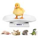 Digital Mini Pet Scale, Small Animal Weight Scale, Portable LCD Electronic Weighing Scale with Tray(Max. 22 lbs), Multifunction Kitchen Scale for Food/Puppy/Kitten/Lizard/Hamster/Tortoise/Whelping