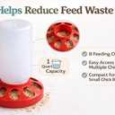 Baby Chick Feeder, Waste Free Chicken Feeder Jar, Duckling Feeder for Pigeon, Birds & Small Flock Feeding, 1 Quart Poultry Feeder with 8 Feeding Holes.