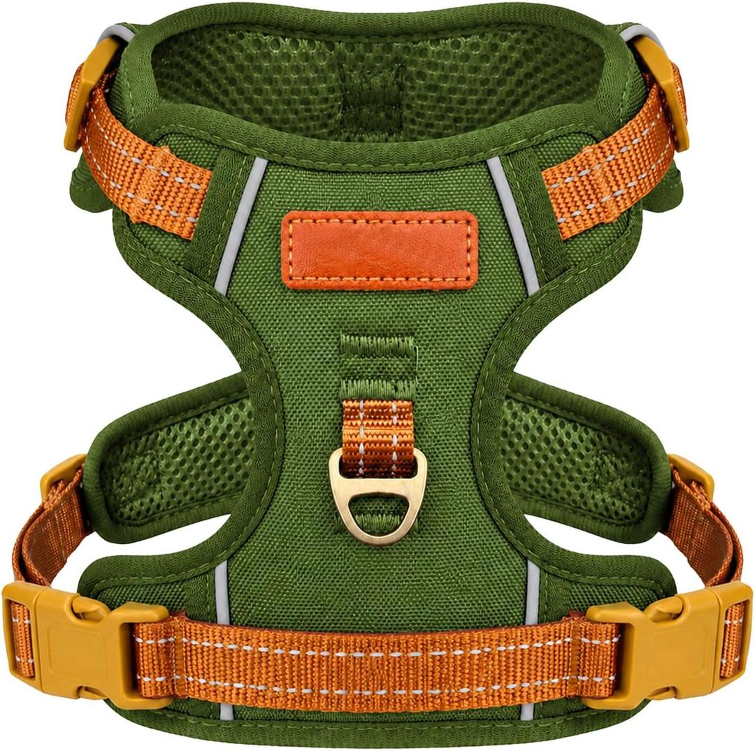 No-Pull Reflective Dog Harness with Handle Soft Padded Vest for Small Dogs Heavy Duty Adjustable Anti-Choke Pet Harness with Front & Back Clip Harness for Walking, Training (Green, XS)