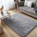 OLANLY 3x4 Machine Washable Accent Rug, Soft Fluffy Shaggy Area Rug for Bedroom, Living Room, Indoor Floor Carpet for Kids, Nursery, Home Decor, Light Grey