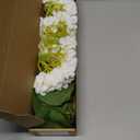Waipfaru 21" Real Touch White Hydrangea Artificial Flowers with Long Stem & Leaves, Full Latex Faux Hydrangea Flowers for Home Decor Party Floral Arrangements Wedding Bouquets Centerpieces, 3Pcs