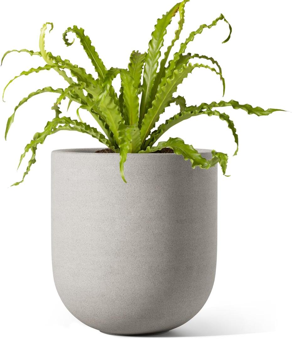 LE TAUCI 6 Inch Plant Pot, Ceramic Planter for Herbs & Small Houseplants, Tabletop Indoor Pot for Shelf, Desk and Windowsill, Small Planter with Drainage Hole & Rubber Plug, Neutral Gray