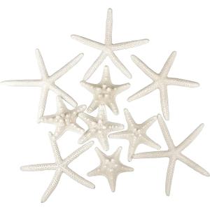 Jangostor 12 PCS Starfish 2-6 Inch Mixed Starfish Natural Seashells Starfish Star Fish Shells Decorations Perfect for Wedding Decor Beach Theme Party, Home Decorations, DIY Crafts, Fish Tank
