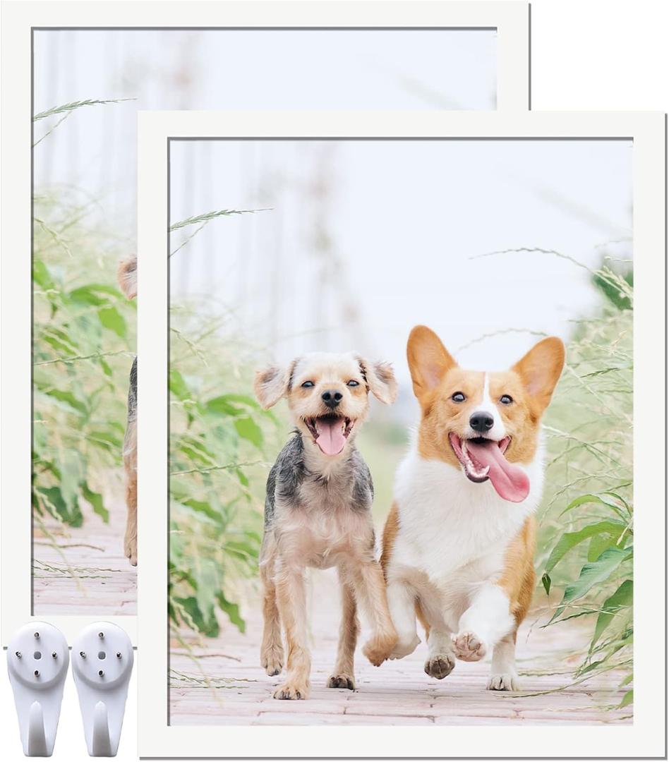 8x10 Picture Frame Set of 2, White Photo Frames High Transparent Wall Gallery Desktop Horizontal Vertical for Canvas Collage Photo Poster Certificate 8 x 10 inches
