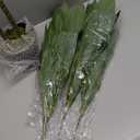 Nearly Natural 48in. Dracaena Silk (Real Touch) Artificial Plant, 48", Green 5357 4ft. Golden Cane Palm Tree,Green