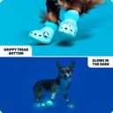 BarkBox Aqua Crocs Dog Shoes – Set of 4 Glow-in-The-Dark Dog Booties with EVA Foam, Adjustable Strap & Non-Slip Sole – Comfortable Paw Protection for Small Breeds (15–25 lbs) Small, Aqua