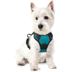 rabbitgoo Dog Harness No Pull with 2 Leash Clips, Adjustable Soft Padded, Reflective Oxford No Choke Pet Vest with Easy Control Handle for Puppy, Teal, XS (X-Small)