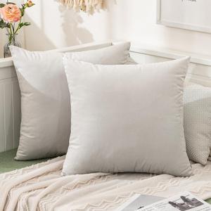 MIULEE Velvet Throw Pillow Covers 22x22 Inch, Pack of 2 - Greyish White, Soft Solid Decorative Pillow Covers Cushion Cases Modern Luxury Home Decor for Spring Couch Sofa Bedroom Livingroom