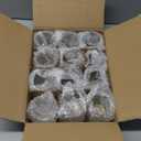 12Pcs Large Votive Candle Holders 2.8 * 3.2in Clear Tea Light Candle Holders Glass Candle Holder for Bridal Shower, Wedding, Table Centerpiece, Party, Home Decor