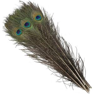 Natural Peacock Feathers 16-18Inch for Home Decor Flower Arrangement Centerpieces Vases Decorations Costumes Hats Crafts Christmas Tree Ornament (20pcs)