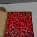 32 Pack Christmas Tree Decoration, 8 Inch Artificial Snowy Red Frosted Berry Stems Christmas Picks Filler for Tree, Holly Berries Christmas Tree Ornaments Xmas Holiday Decor