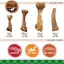 Nylabone Healthy Edibles WILD Natural Longer-Lasting Chew Treats, Bison Flavor, Large Dogs Up to 50 lbs - Made in USA (1 Count) (EXP 07/01/26)