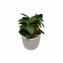 Fake Plants Artificial Tropical Plants Indoor in White Pot for Home Office Desk Accessories Bathroom Sage Green Decor Lemon