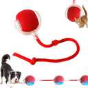2025 New Interactive Dog Cat Toys Balls, Interactive Rolling Ball Cat Toy, 360 Smart Automatic Rolling Pet Ball, Fast Moving Toy for Dog and Cat(Red)