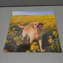 2026 Calendar, Wall Calendar 2026, Dogs 12 Month Wall Calendars (Jan - Dec 2026) 12" x 24" Opened, Hanging Monthly Calendar Thick Paper for Kids Family Adults Office Home