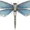 Deco 79 Metal Dragonfly Home Wall Decor Indoor Outdoor Wall Sculpture, Wall Art 25" x 1" x 16", Blue
