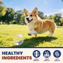 Pet Allergy Relief Chews 400PCs with Natural Collagen Drops Dual Formula for Itch Relief Skin Joint Health Coat Care Infused with Colostrum Probiotics Tasty Bites for All Dogs Cats Daily Consumption