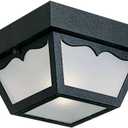Progress Lighting 1-Light Indoor and Outdoor Flush Mount Ceiling Light, Interior and Exterior Ceiling-Mount Light Fixture for Porch Light, Patios, Garages, Hallways, Non-Metal, 8-1/4" by 4-3/4", Black (8.25-Inch Diameter x 4.75-Inch Height)
