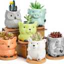 Frcctre 6 Pack Small Ceramic Succulent Planter With Drainage and Bamboo Tray, Cute Animal Flower Pots for Indoor Plants, Cactus, Garden, Home Decor