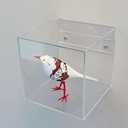 Wall Mounted Clear Acrylic Display Box, 6x6x6 Inches, Cube for Collectibles, Memorabilia
