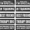 AUROTH Service Dog Patch 10 Pieces, Dog Vest Patches Service Dog in Training Patches, Reflective and Removable Dog Harness Patches for Service Dog Vest (M-4.5X1.5)