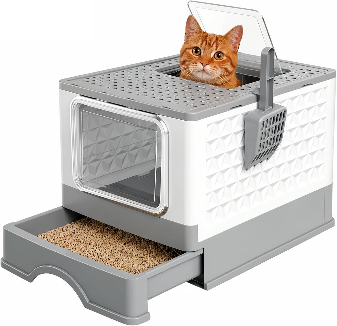 Covered Cat Litter Box with Lid for Small & Medium Cats