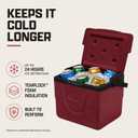 Coleman Chiller 9qt Portable Cooler with Ice Retention and 2-Way Heavy Duty Handles, Leak Resistant, Great for Camping, Concerts, Sports, and More, Cranberry