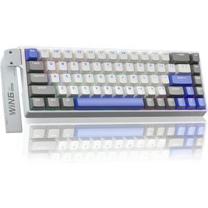AULA WIN68 HE MAX - Hall Effect Gaming Keyboard with Magnetic Switch, Adjustable Actuation Fast Trigger Mode, 8KHz Polling Rate, RGB Backlit Wired Mechanical Gaming Keyboard 60 Percent Compact Design (Grey&White&Blue-Max Version)
