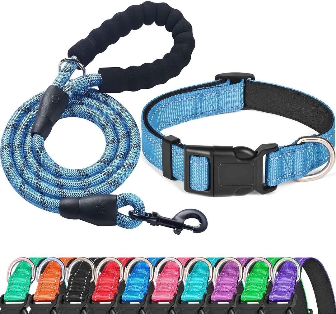 Ladoogo Reflective Dog Collar Padded with Soft Neoprene Breathable Adjustable Nylon Dog Collars for Small Medium Large Dogs (X-Small (Pack of 1), Vivid Blue Collar+Leash)