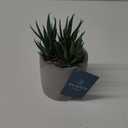 Bambeco Succulent without Wood Stand, 16 in