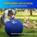 18 Herding Ball for Dogs with 2 Inner Balls, Dog Herding Ball for Mental & Physical Stimulation, Interactive Toy for High-Energy Dogs, Herding Ball for Australian Shepherd & Working Breeds