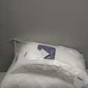 CozyLux Pillows Queen Size Set of 2, Hotel Quality Bed Pillows for Sleeping 2 Pack, Cooling Pillows for Side Back and Stomach Sleepers, Down Alternative Luxury Soft Supportive Fluffy Pillows (18x28)