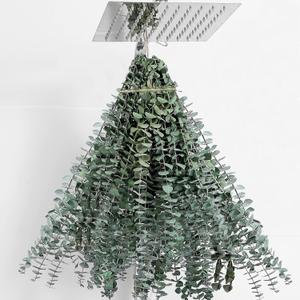 30 Pcs Dried Eucalyptus Stems 17" Real Eucalyptus for Shower Hanging 100% Made from Fresh Leaves, Wedding, Home, Farmhouse, DIY Spring Decor 30 Pcs Dried Eucalyptus Stems 17" Real Eucalyptus for Shower Hanging 100% Made from Fresh Leaves, Wedding, Home, Farmhouse, DIY Spring Decor