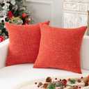 Pack of 2 Decorative Throw Pillow Covers 26*22
