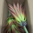 2 PCS Artificial Succulents Plants Real Touch Lifelike Succulants Plants Faux Greenery Plants Garden DIY Home Office Decoration Ornament (Red Agave)