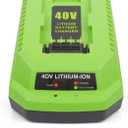 40V Charger Replacement for Greenworks 40V Battery Charger, Compatible with 40 Volt G-MAX Power Tools 29482 29252 20202 22262 29472 29462 (Not for 29662)