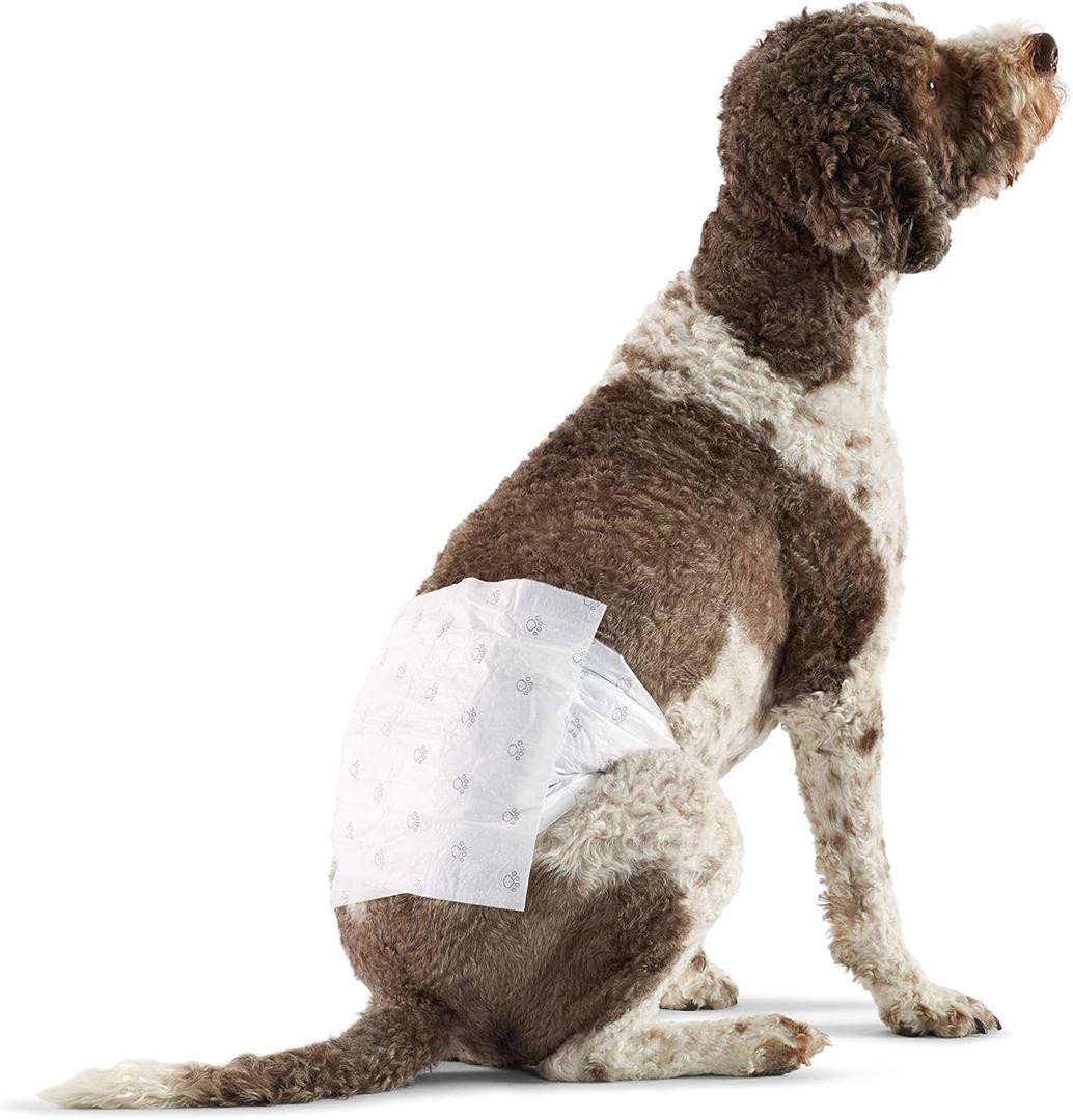 Amazon Basics Male Dog Diapers, 25 Count, Large, Ultra Absorbent Disposable Wrap with Secure Fit, Leakproof and Comfortable (Large (Pack of 25))