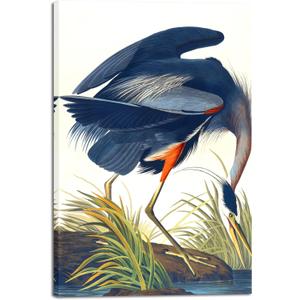Wieco Art Canvas Print Wall Art Great Blue Heron by John James Audubon Vintage Poster Birds of America Antique Bird Illustration Wall Art for Living Room Home Kitchen Decorations (24x36inch(60x90cm))