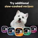 Cesar Filets in Gravy, Adult Wet Dog Food, Rotisserie Chicken Flavor, Wet Food for Dogs, 3.5 oz Trays, 24 Count