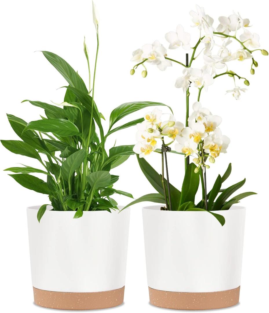 kubvici 2 Pack 8 Inch Planters for Indoor Plants, Plastic Flower Pots Plant Pots Indoor with Drainage Saucer for Outdoor Garden Home Plant, White 8