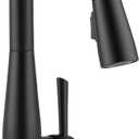 Delta Essa Matte Black Bar Sink Faucet with Pull Down Sprayer, Modern Single Hole Prep Sink Faucet, Single Handle, Matte Black 9913-BL-DST