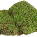 FAICOIA Artificial Fake Moss for Decorating Crafts 39" x 39" Faux Moss for Plants Indoor Dark Green Faux Grass for Planters Crafts DIY Table Centerpieces Fairy Garden Floral Wedding 100 x 100cm