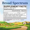 Vitalitown 10 in 1 Magnesium Complex Supplement - 400mg Elemental Magnesium Chelated with Glycinate, Citrate, Malate, Taurate & More - for Sleep Heart Energy - Non-GMO, Vegan, 90 Caps