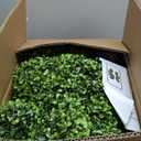 2 Pack 3FT Artificial Spiral Topiary Trees, Realistic Boxwood Trees, Evergreen PE Faux Plants with Durable Pot, Outdoor & Indoor Year-Round Garden, Patio, Porch, Home Entryway Decor