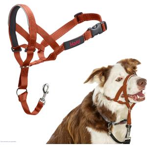 Halti Headcollar - Stop Your Dog Pulling on The Leash. Adjustable, Reflective and Lightweight, with Padded Nose Band. Dog Training Anti-Pull Collar for Medium Dogs (Size 2, Burnt Orange)