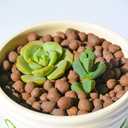 Halatool 8LB Clay Pebbles for Plants 4mm-16mm Lightweight Hydroton Leca Balls for Indoor Potted Plants Hydroponics Gardening Orchids Drainage Decoration Aquaponics