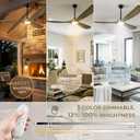 52 Ceiling Fans with Lights and Remote Control, Outdoor Ceiling Fan with Lights High CFM Quiet 3 Blade Wood Walnut Ceiling Fan, Bronze Gray