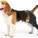 Dog Sleeve for Rear Legs to Stop Licking, Upgraded Surgical Recovery Sleeve for Hind Back Leg Wound, TPLO, ACL Surgery, Light Comfortable Cone Alternative (XL,Right) (Black)